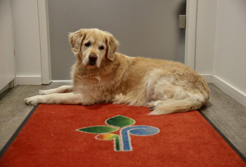 DSC_0025 Kopie 2